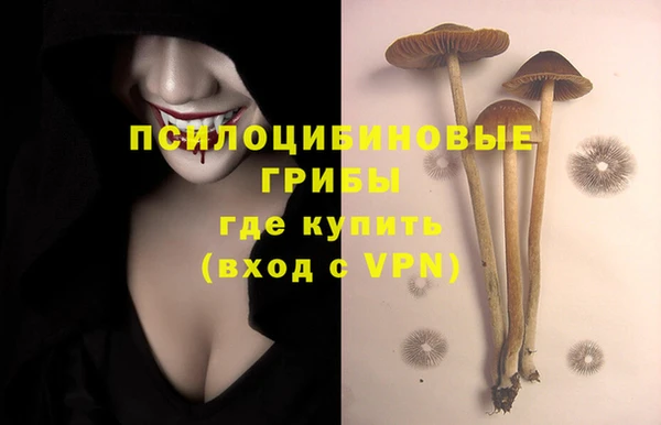 амфетамин Ладушкин
