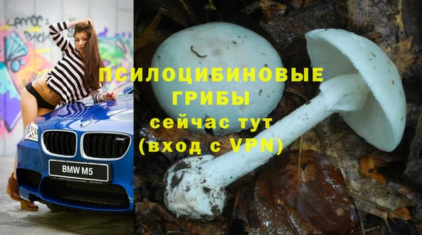 стаф Лабытнанги
