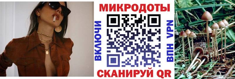 Галлюциногенные грибы Cubensis  Купить  Чаплыгин 